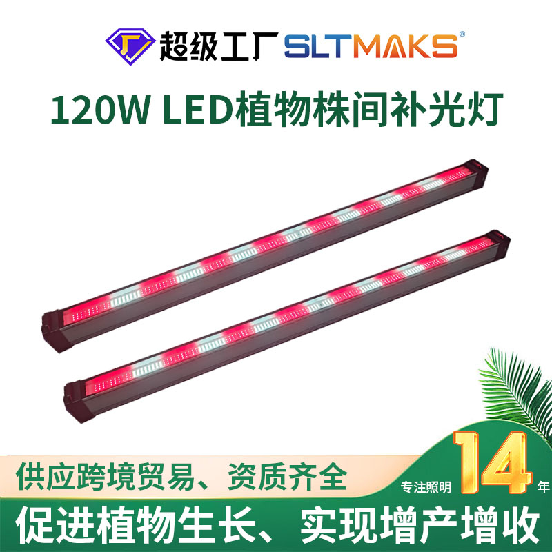 玻璃款 株间灯