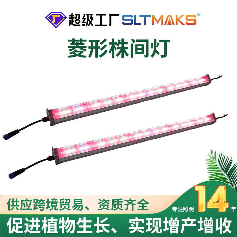 菱形株间灯